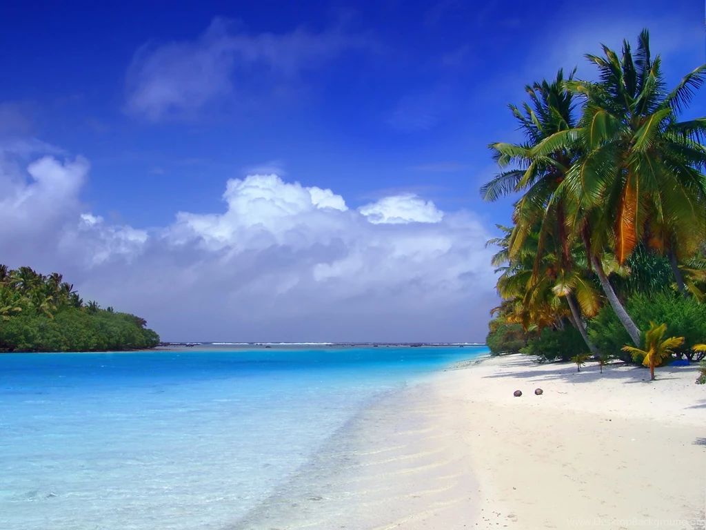 Tropical_wallpaper 10.png