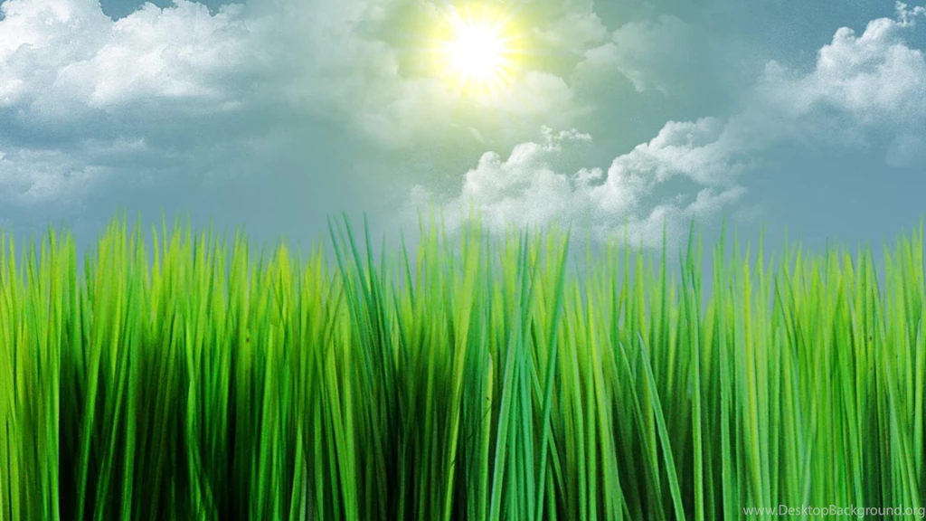 Sunny Grass Cluds Widescreen Artwork HD Wallpapers Wallpapers ...