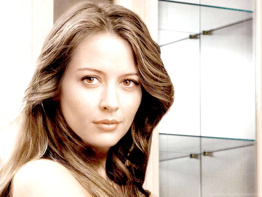 Amy Acker Wallpaper HD 9 download.jpg