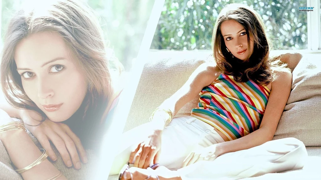 Amy Acker Wallpapers Celebrity Wallpapers