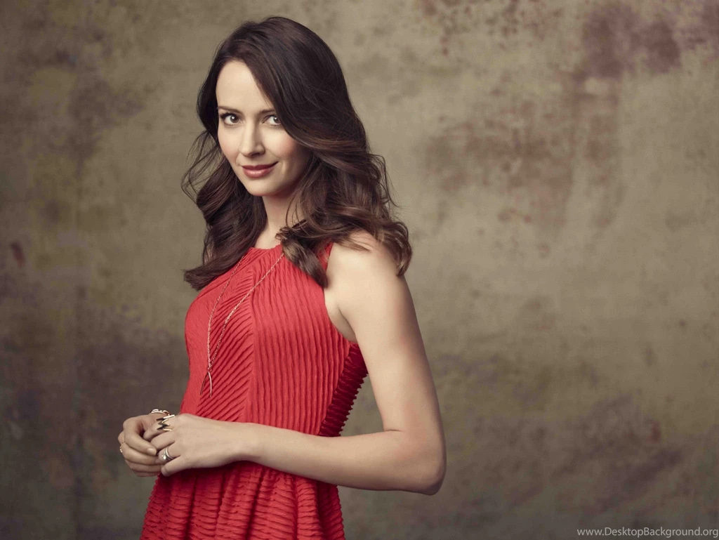 Amy Acker HD Wallpapers