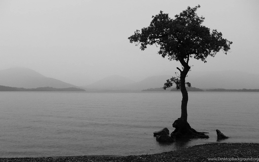 Water, Seas, Lakes, Oceans, Rivers, Waterfalls Photo Gallery ...