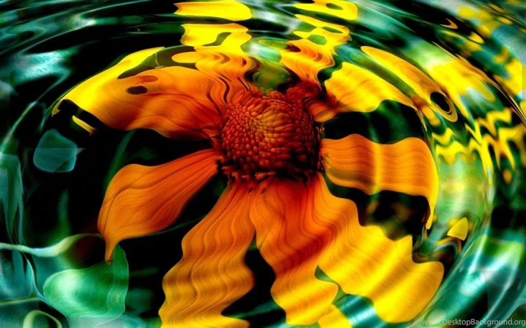 Beautiful Flowers HD 1280x800 Wallpapers, 1280x800 Wallpapers ...