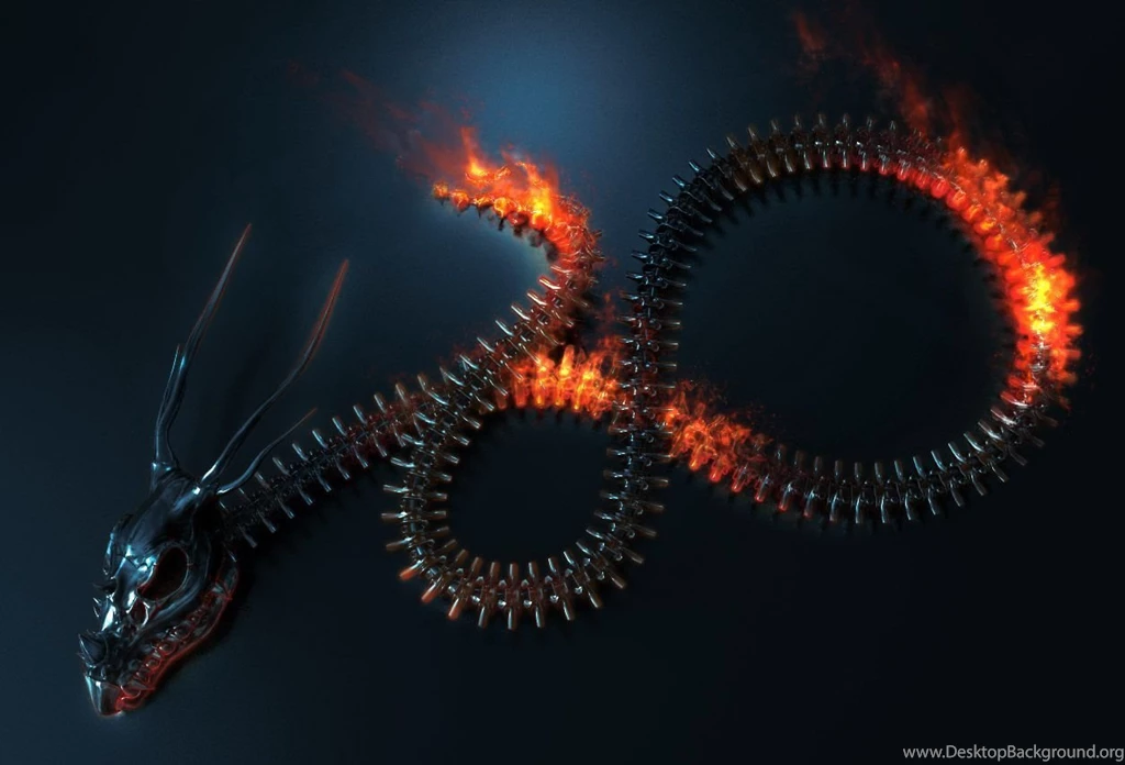 Fantasy Dragon Wallpapers HD For Dekstop Backgrounds 2