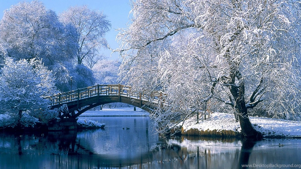 Winter Nature Backgrounds