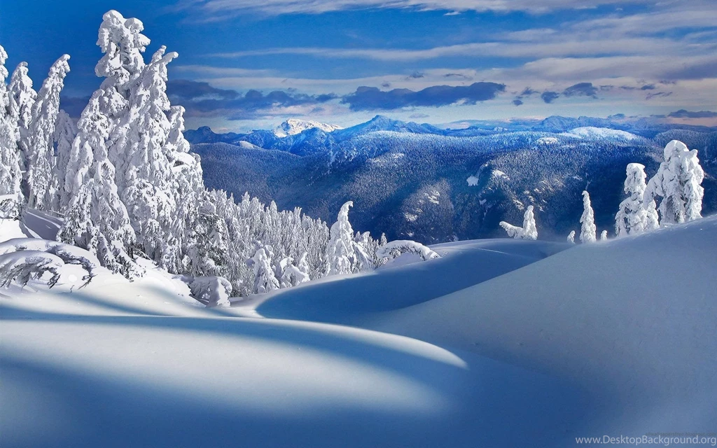 Winter Wallpapers Mobile