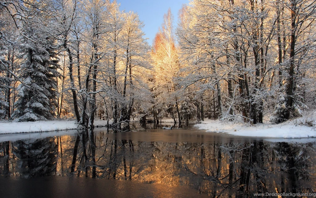 Winter Scenes Wallpapers