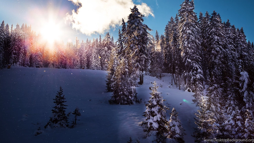 Winter Nature In Tirol Wallpapers :: HD Wallpapers