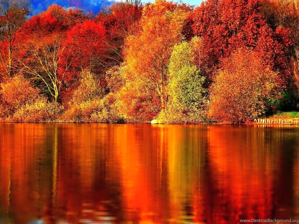 1600x1200 Red Autumn Forest Wallpapers