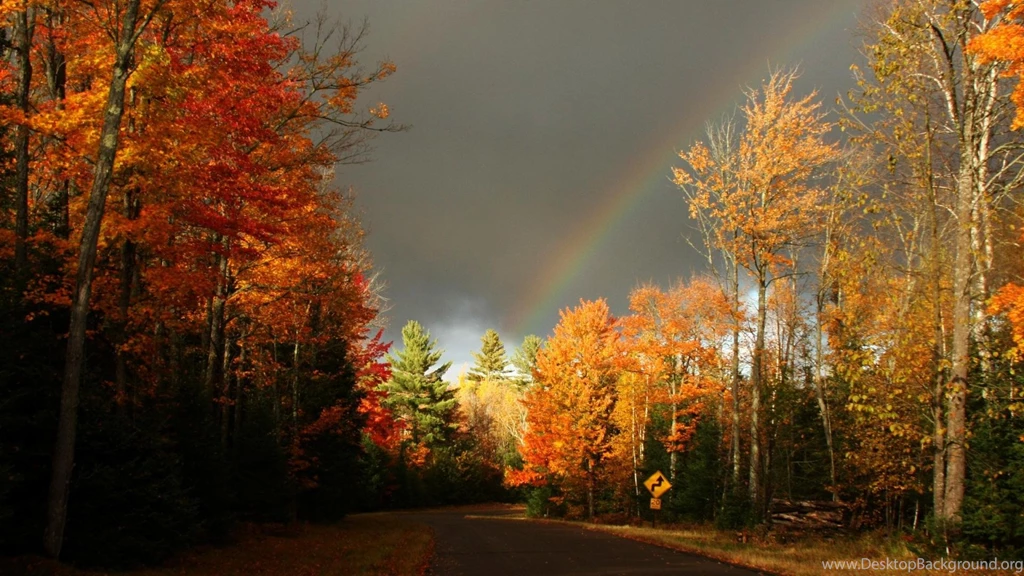 Rainbow Over An Autumn Forest >> HD Wallpaper, Get It Now!
