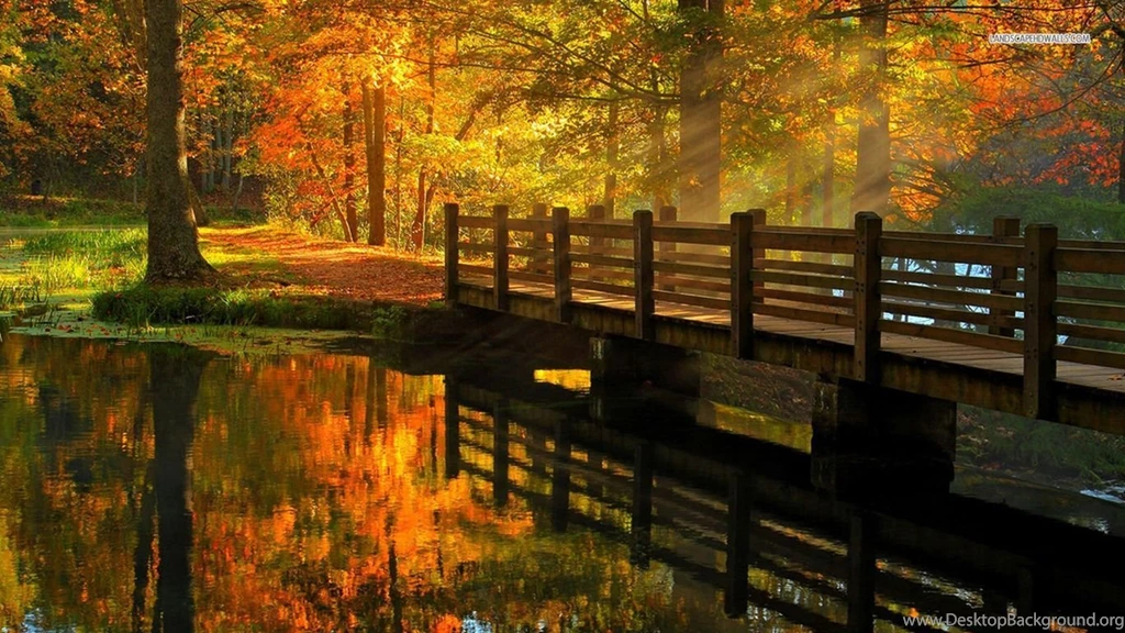 Wooden Bridge In The Autumn Forest Wallpapers