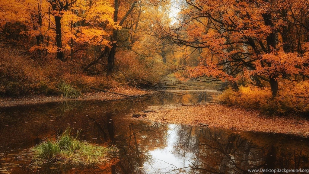 Autumn Forest River Hd Wallpapers ImgMob