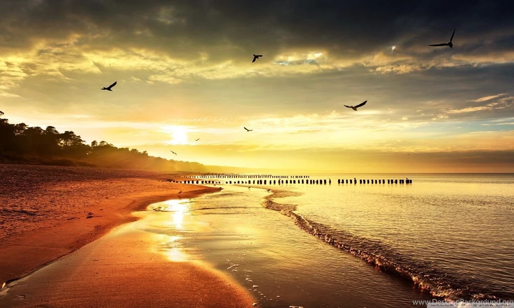 COOL NATURE HD Desktop Wallpapers : Widescreen : High Definition ...