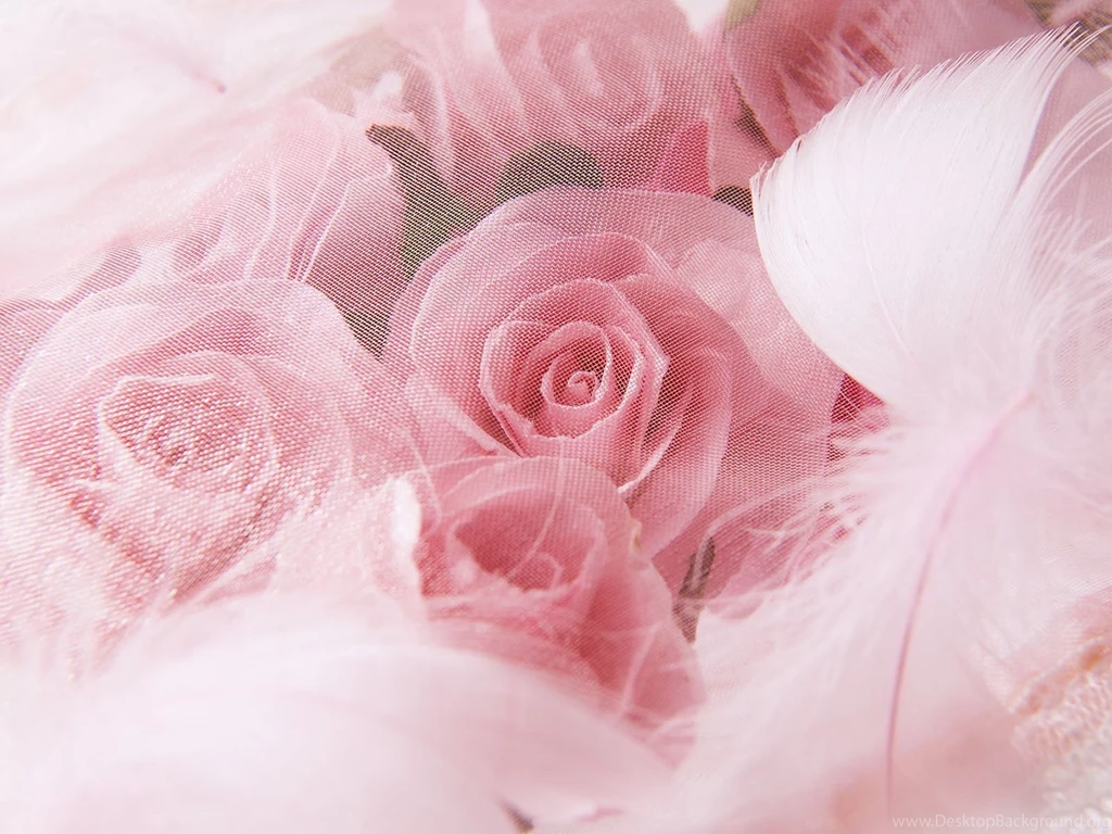 Wedding Roses Image For Desktop Wallpapers Free Wedding Roses Image ...