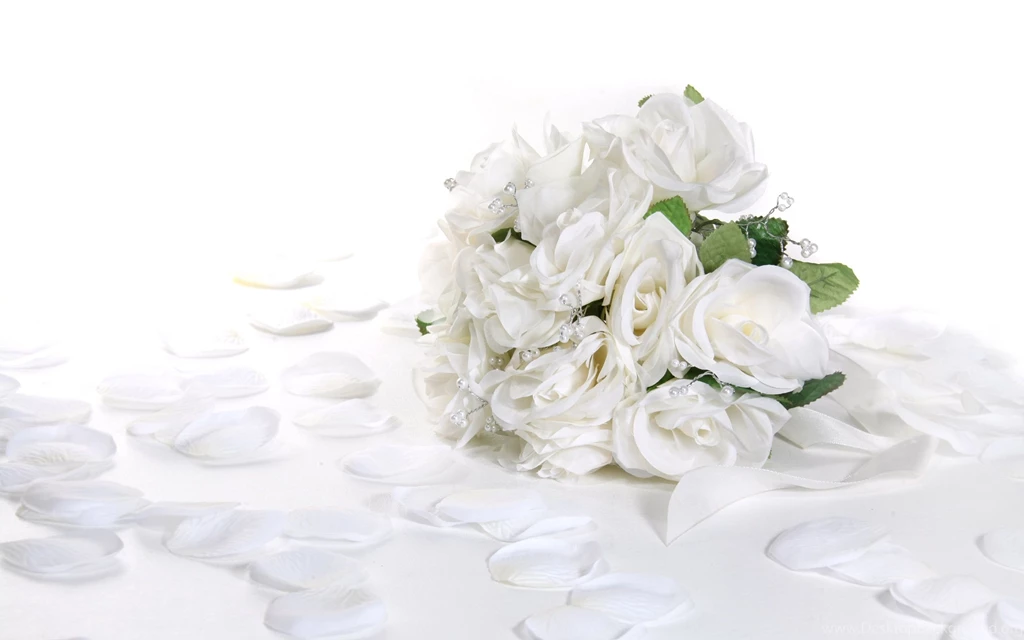 Romantic White Rose Flower Wedding Wallpapers H