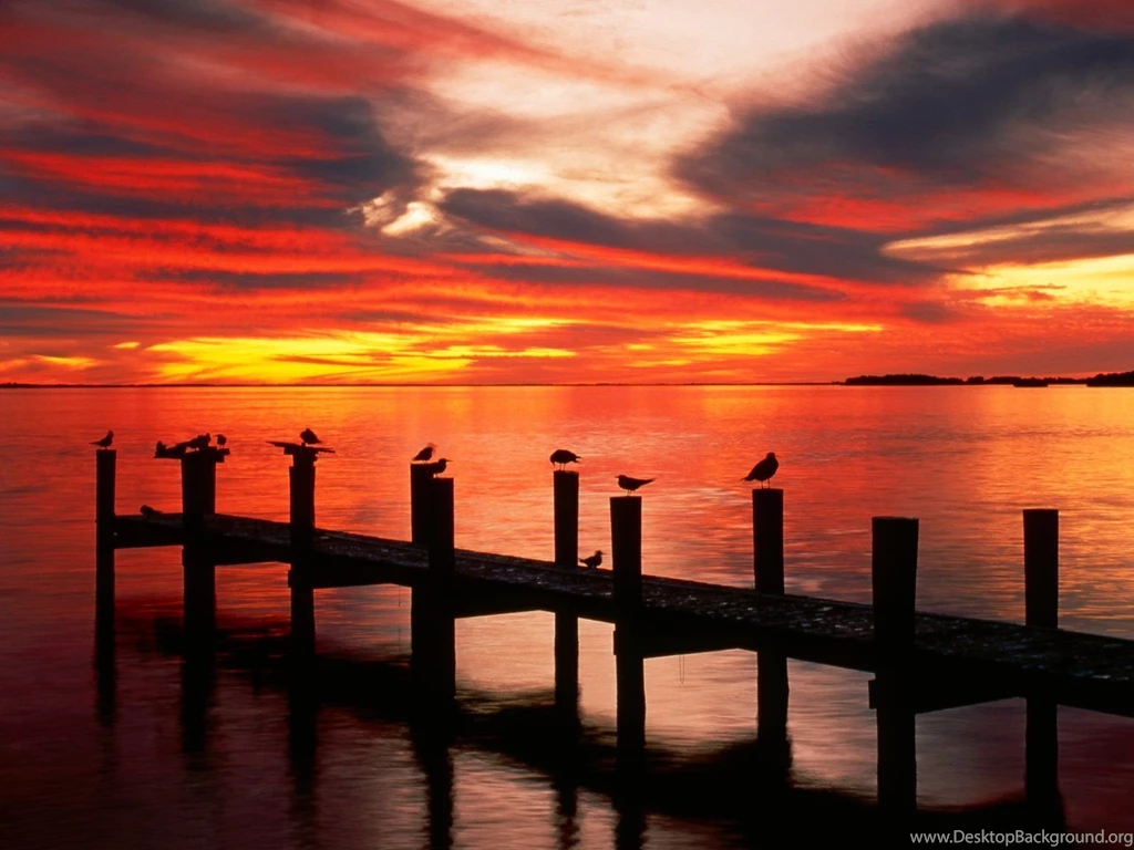 Gallery For Cars Wallpapers Florida
