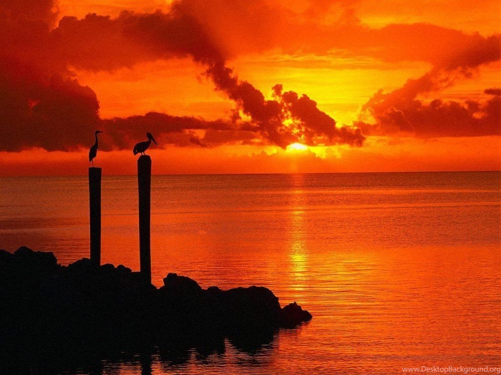 Gallery For Florida Keys Desktop Wallpapers Free