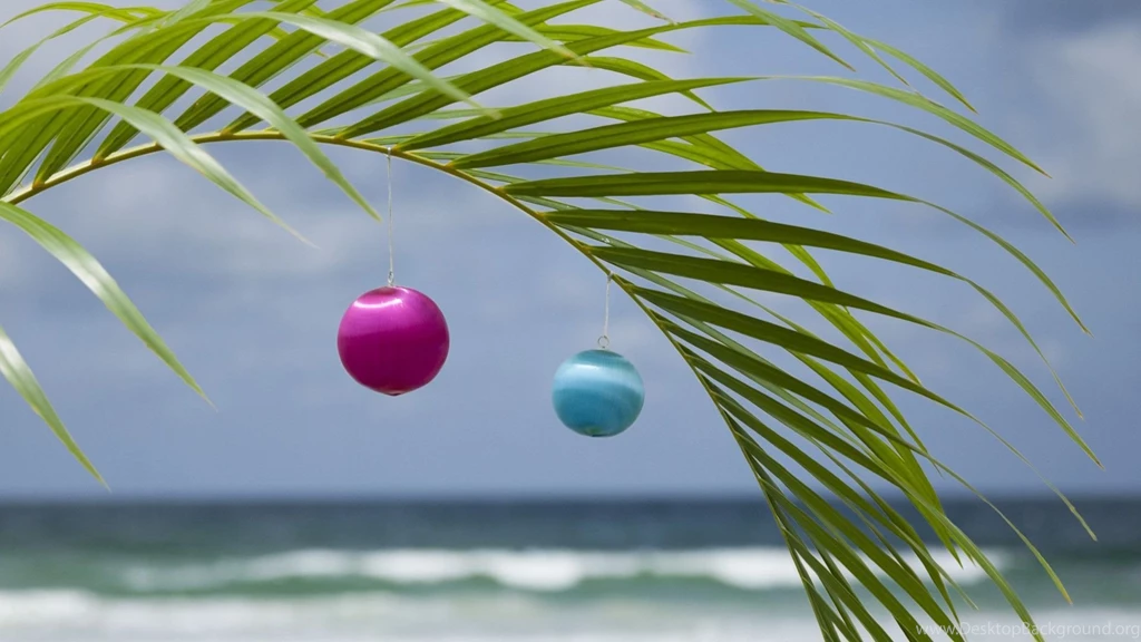 Florida Christmas Wallpapers 235732