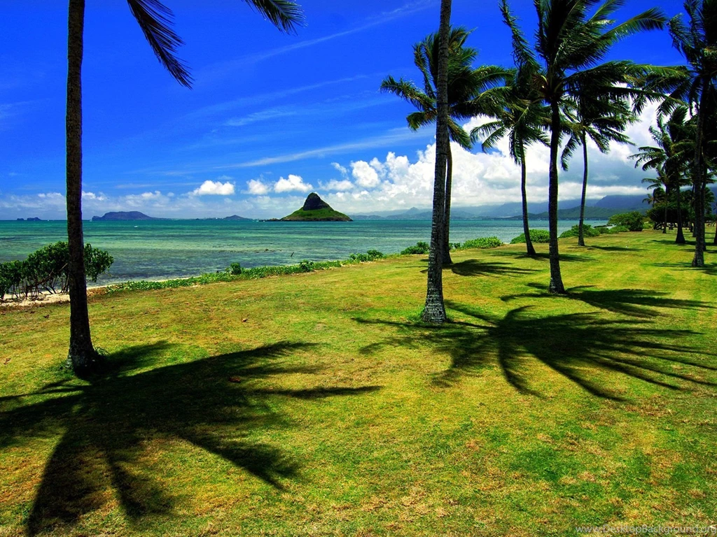 Gallery For Free Hawaii Wallpapers