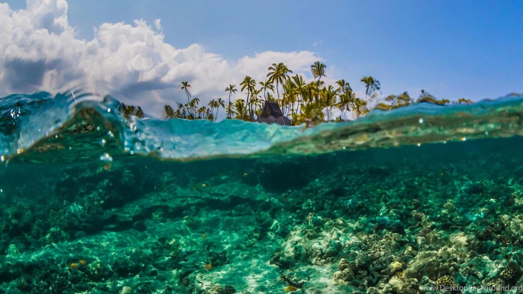 Underwater Reef Off Puuhonua O Honaunauat Big Island Hawaii ...