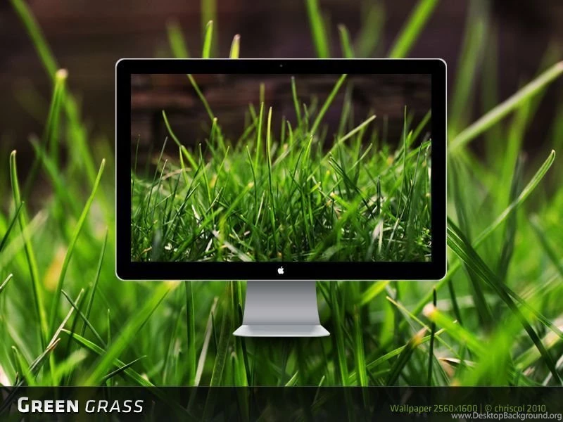 Green Grass Wallpapers By Chriscol On DeviantArt