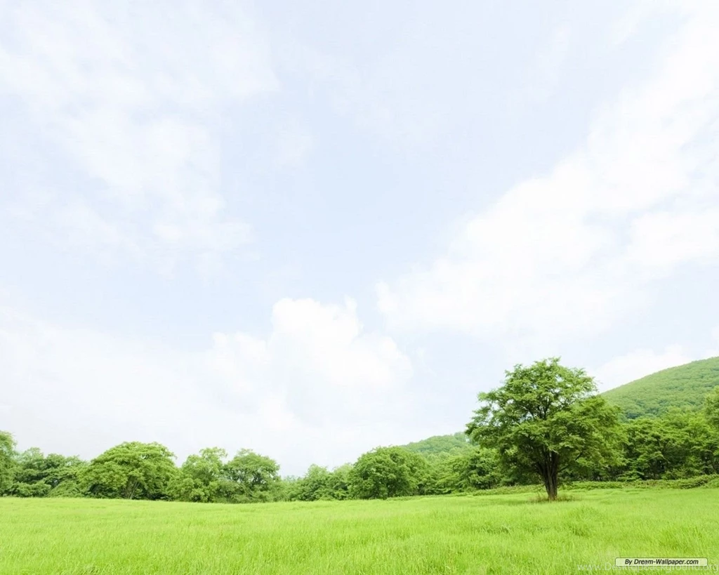 Free Wallpapers Free Nature Wallpapers Green Grass 2 Wallpapers ...