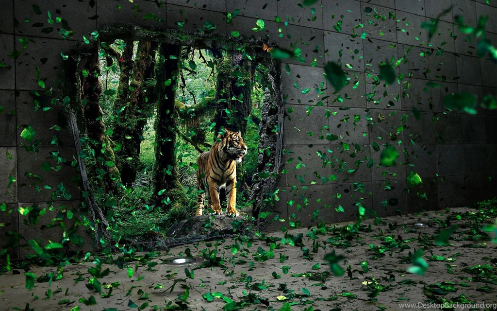 Jungle HD Desktop Backgrounds Wallpapers 5352 Amazing Wallpaperz