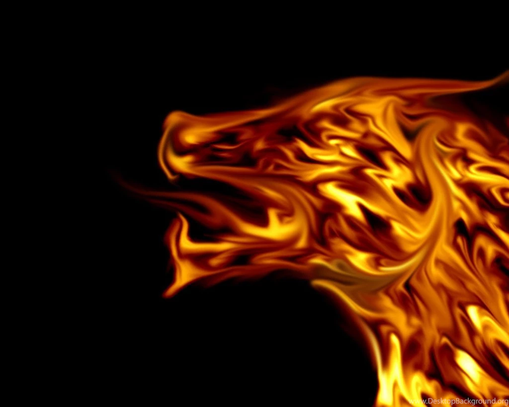 Espiritismofamilia: Fire Wallpapers HD