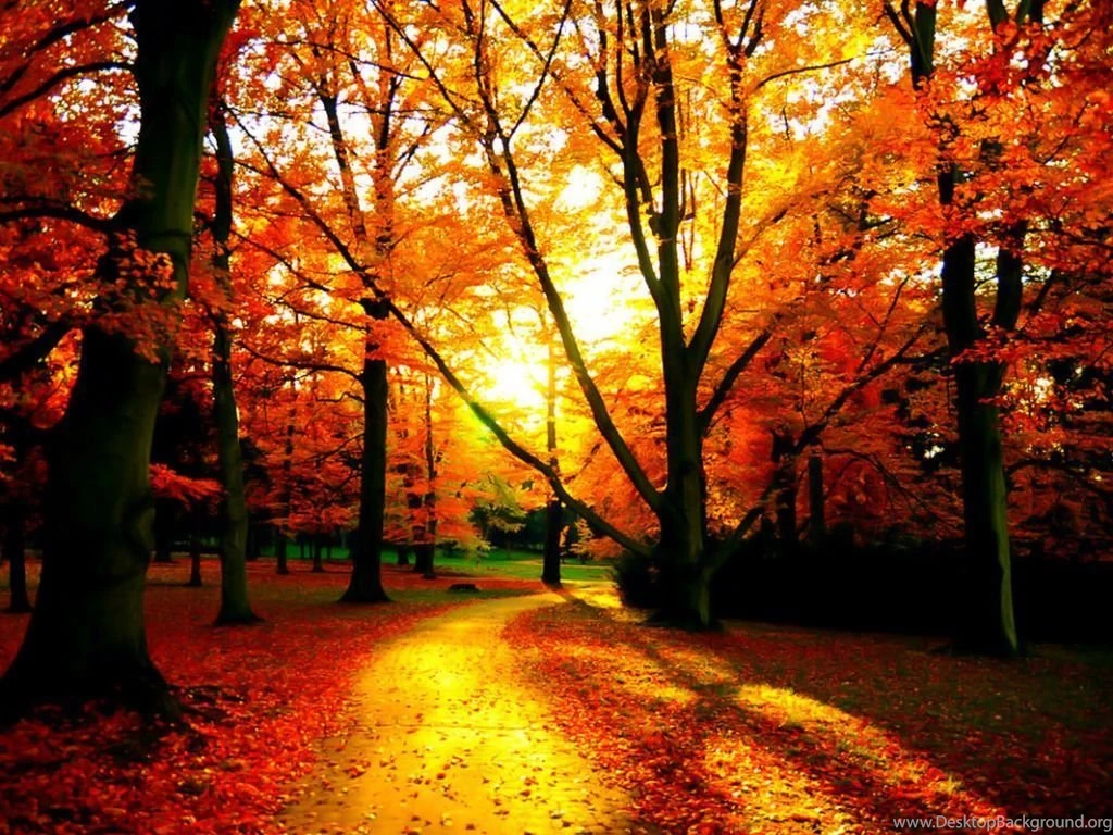 Gallery For Fall Wallpaper Images