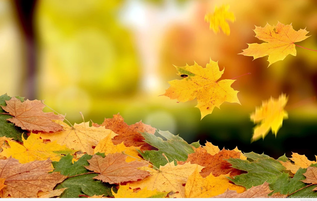 Autumn