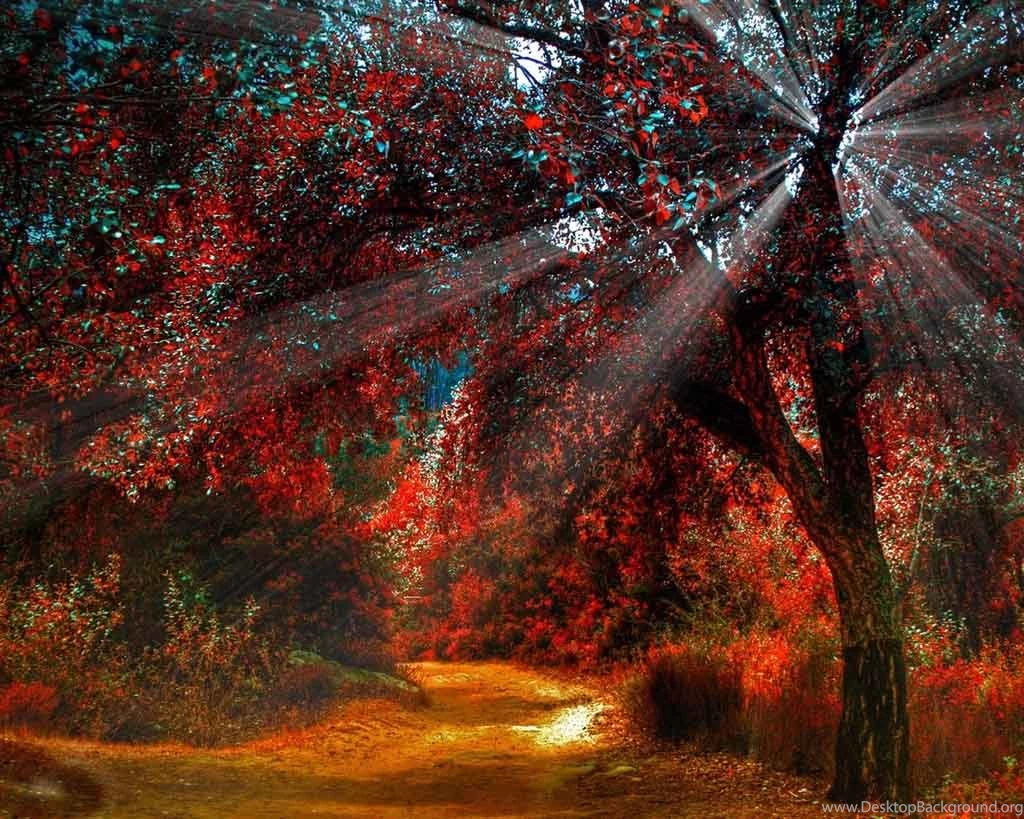 Fall Themed Wallpapers HD Wallpapers And Pictures