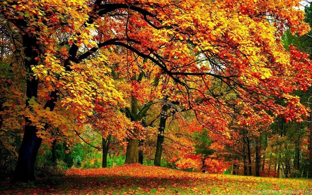 Autumn Wallpapers Autumn Wallpapers (35867669) Fanpop