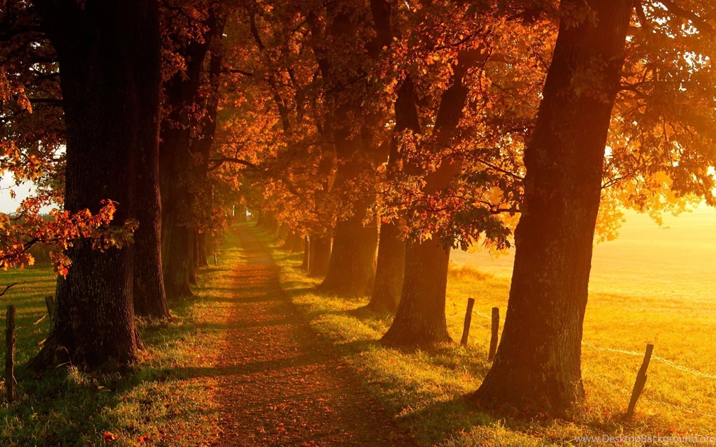 Autumn Scenery Autumn Wallpapers (35580364) Fanpop
