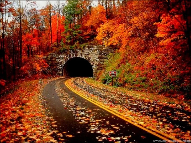Autumn ☆ Autumn Wallpapers (32320326) Fanpop