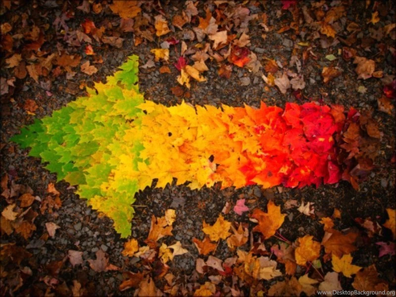 Autumn ☆ Autumn Wallpapers (32342283) Fanpop