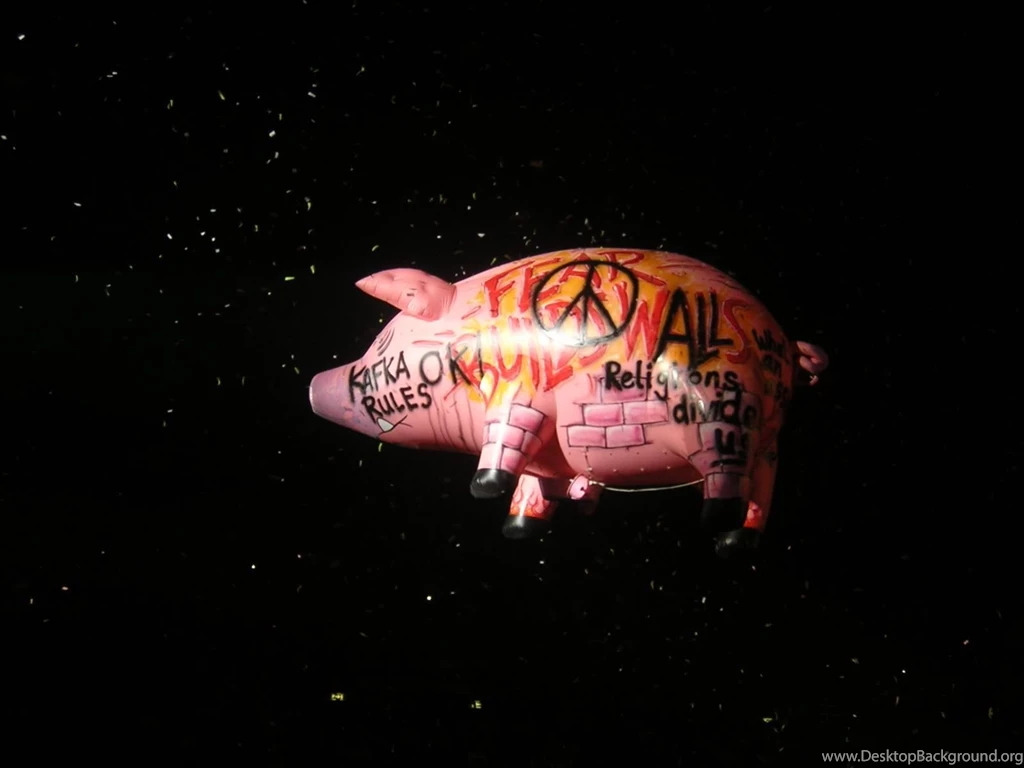 Pink Floyd The Endless River WallpaperPicture For Desktop
