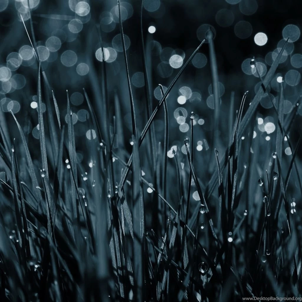 After The Rain Of The Glittering And Translucent iPad Wallpapers ...