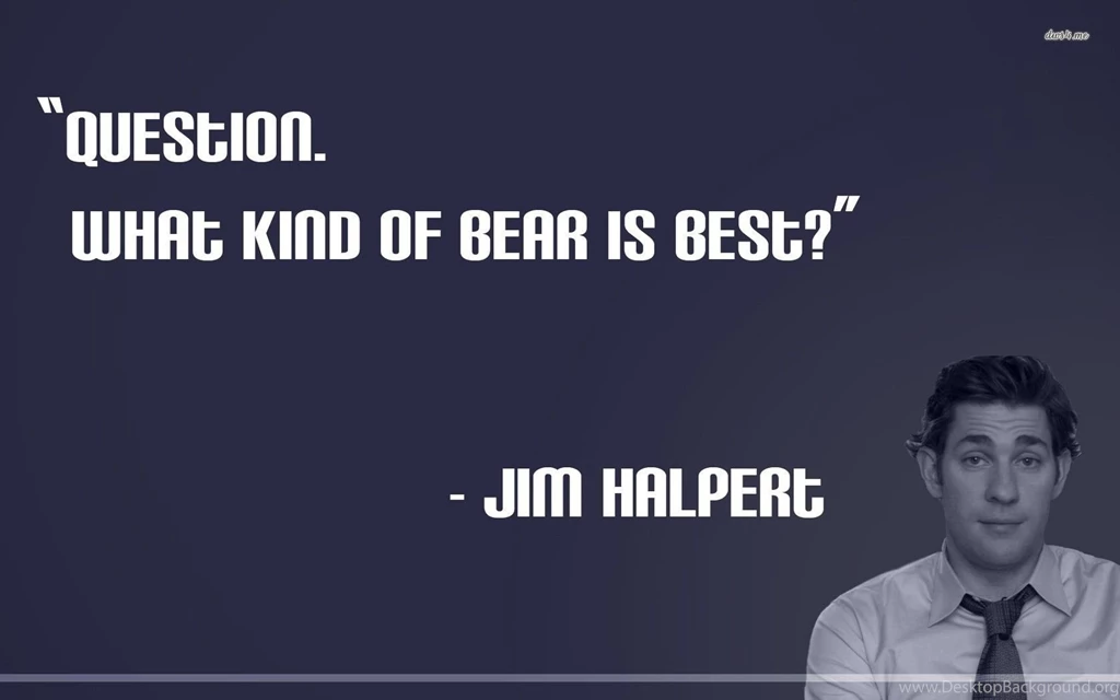 Jim Halpert The Office Wallpapers TV Show Wallpapers