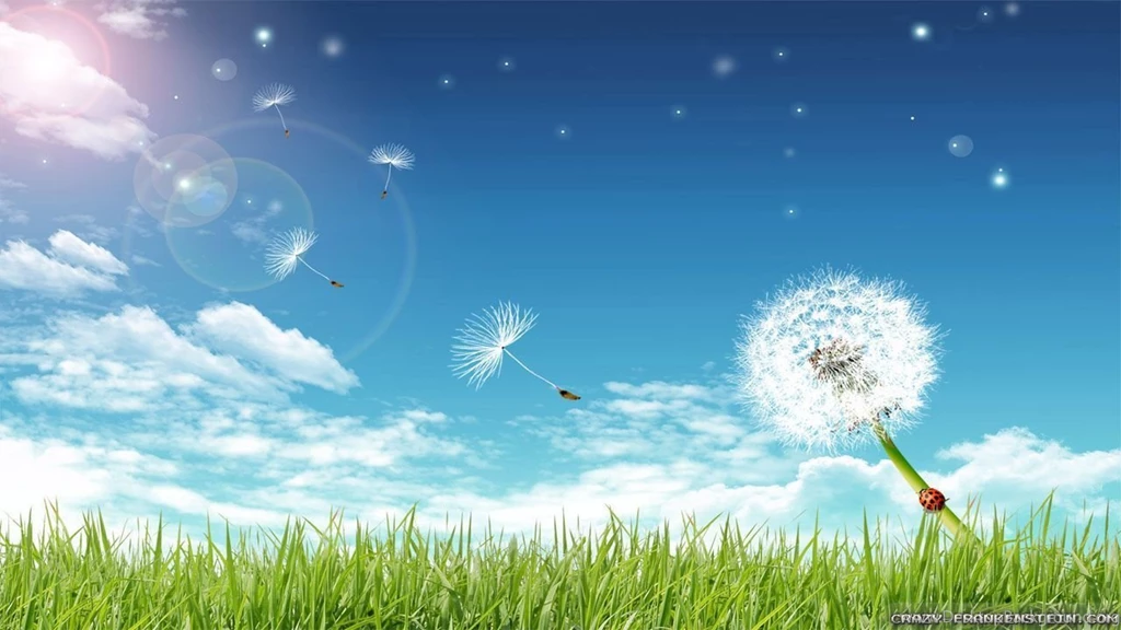 Spring Nature Wallpapers Crazy Frankenstein