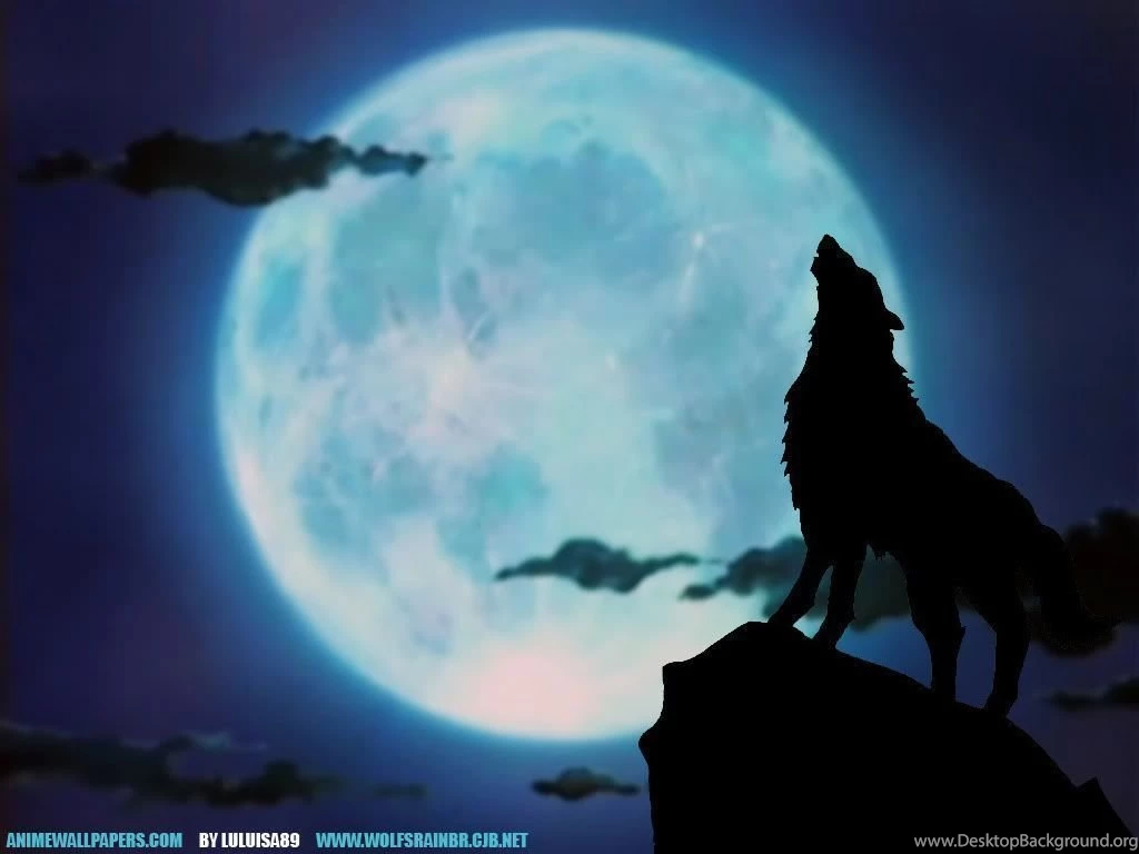 Wolf Wallpapers For Desktop