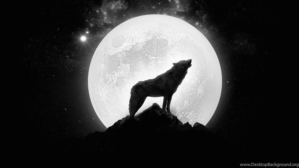 Wolf Howling Wallpaper.
