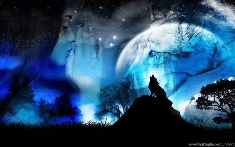 Gallery For Cry Wallpapers Wolf