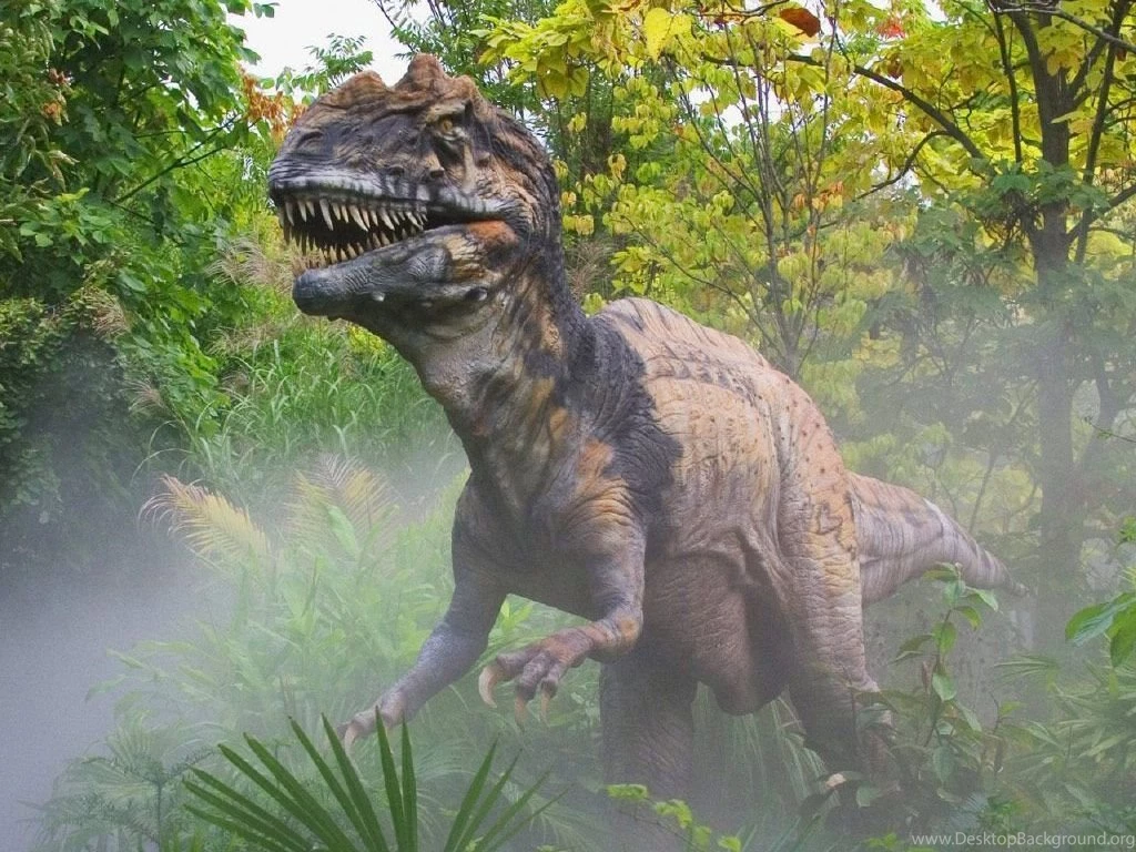 HD Animal Wallpapers: HD Dinosaurs Wallpapers