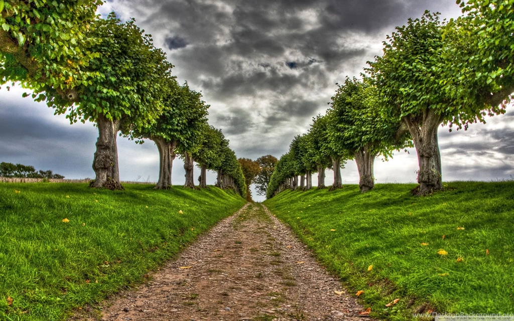 Wallpapers Widescreen High Resolution Hd Wallpaper.
