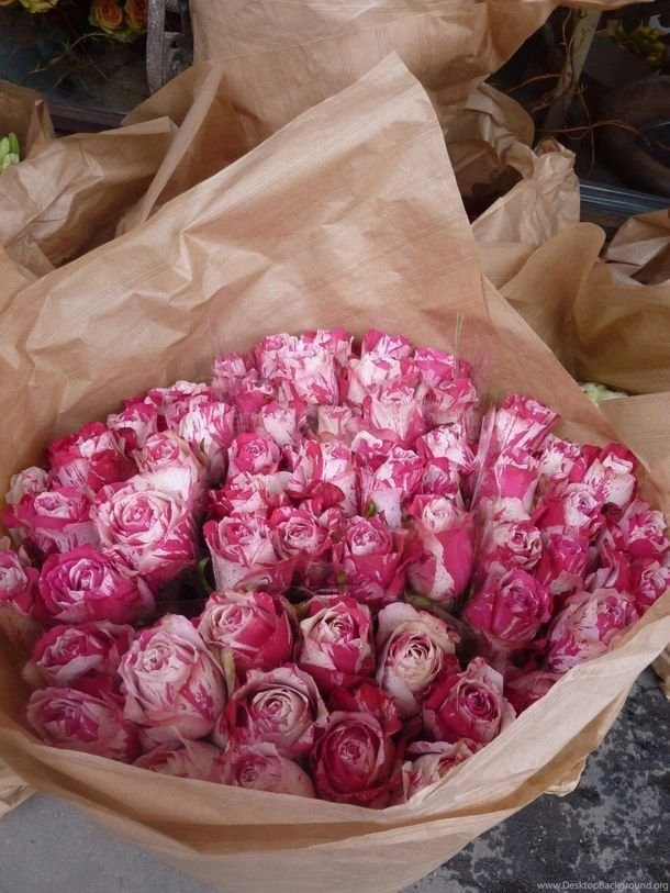 Background, Bf, Boyfriend, Brown, Couple, Equality, Flower ...