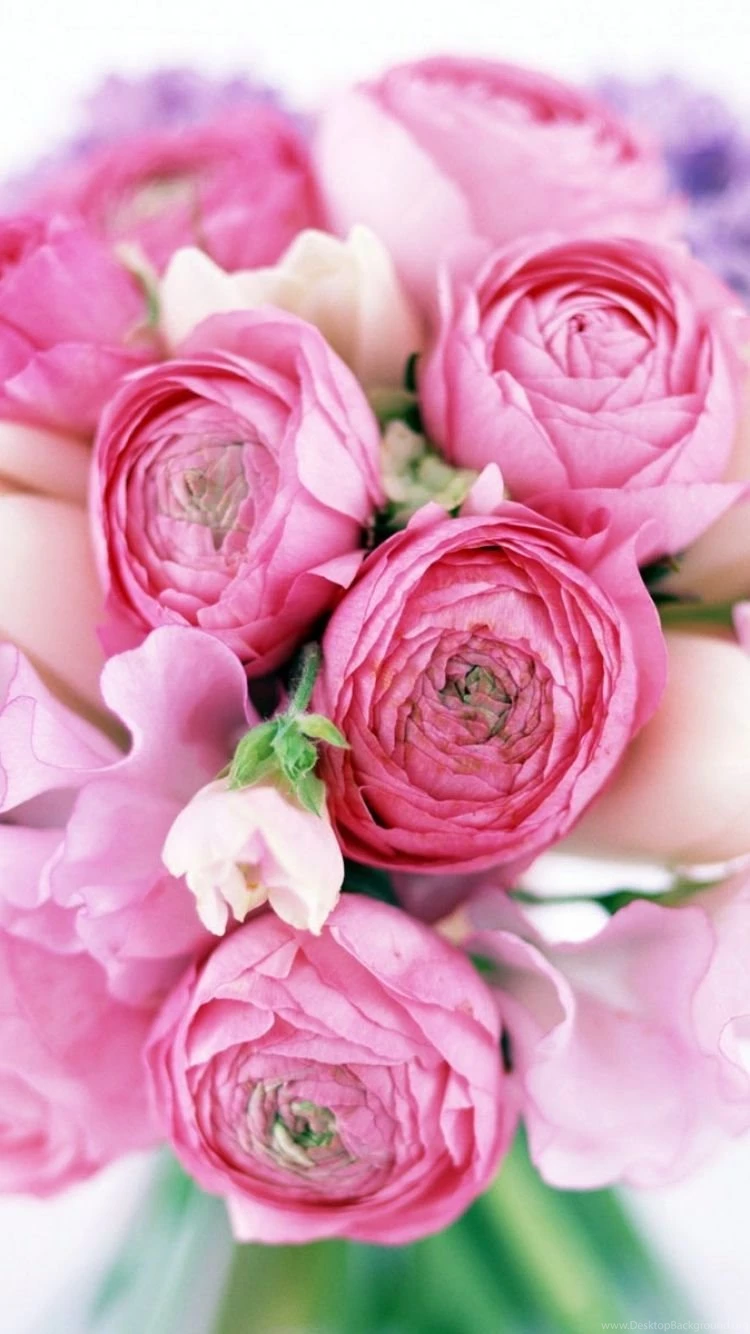 Download Wallpapers 750x1334 Peonies, Tulips, Flower, Flowers ...