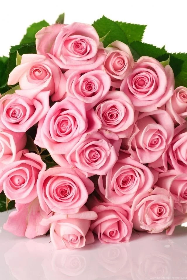 Download Wallpapers 640x960 Roses, Flowers, Pink, Flower, Green ...