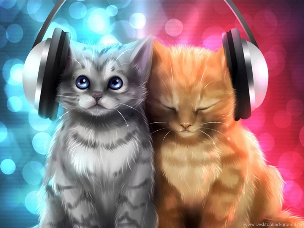 Kittens Kitten Cat Cats Baby Cute S Wallpapers