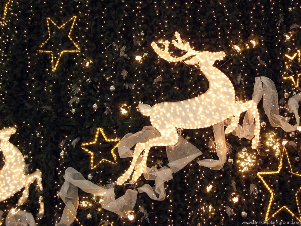 Reindeer Lights Desktop Wallpapers