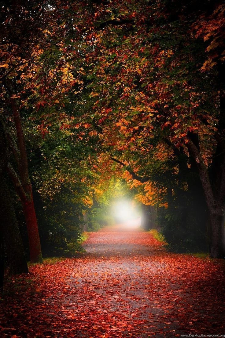 Nature Wallpapers: HD Wallpapers Of Nature: HD Art Wallpapers